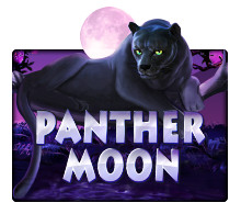 Panther Moon